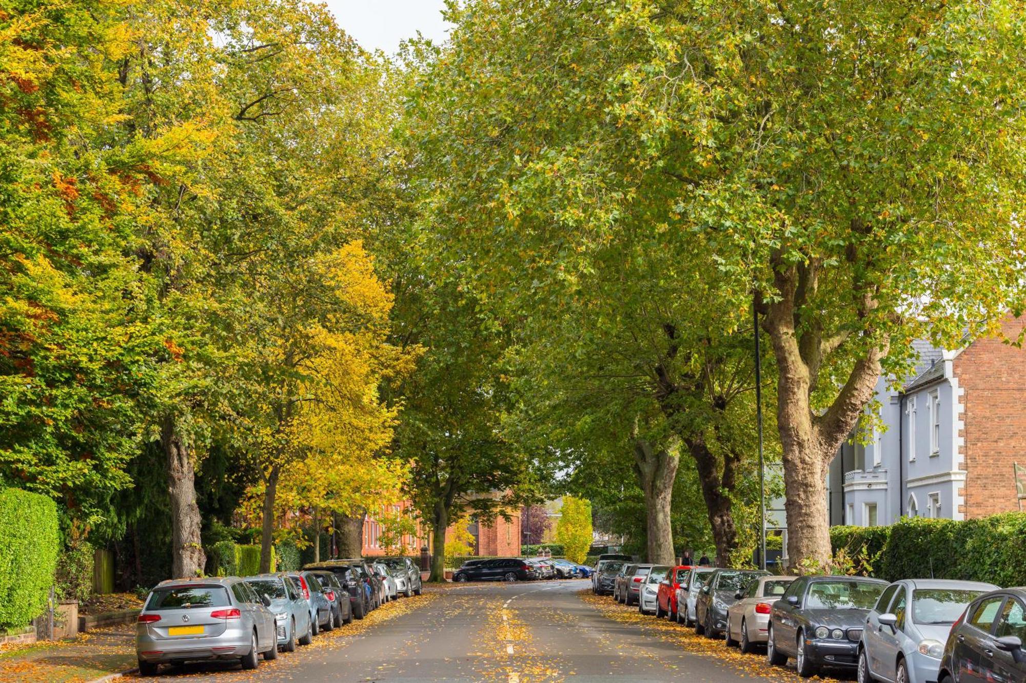 1-Bedroom Apartment In Leamington Spa With Free Parking Eksteriør billede